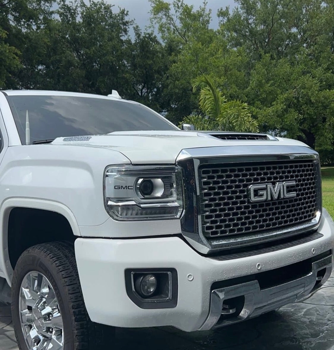 Color matched Sierra headlights