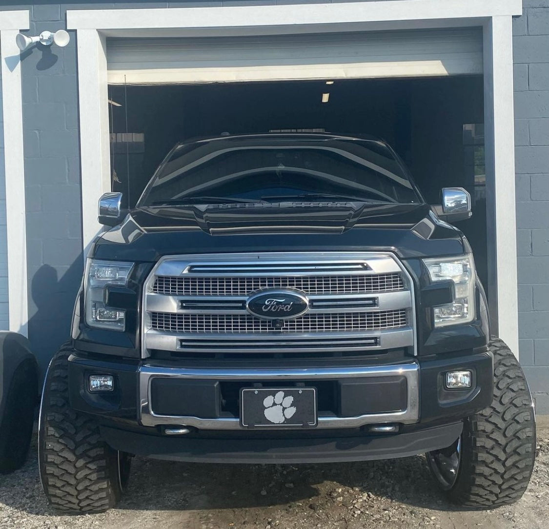 Color matched f150 emblem