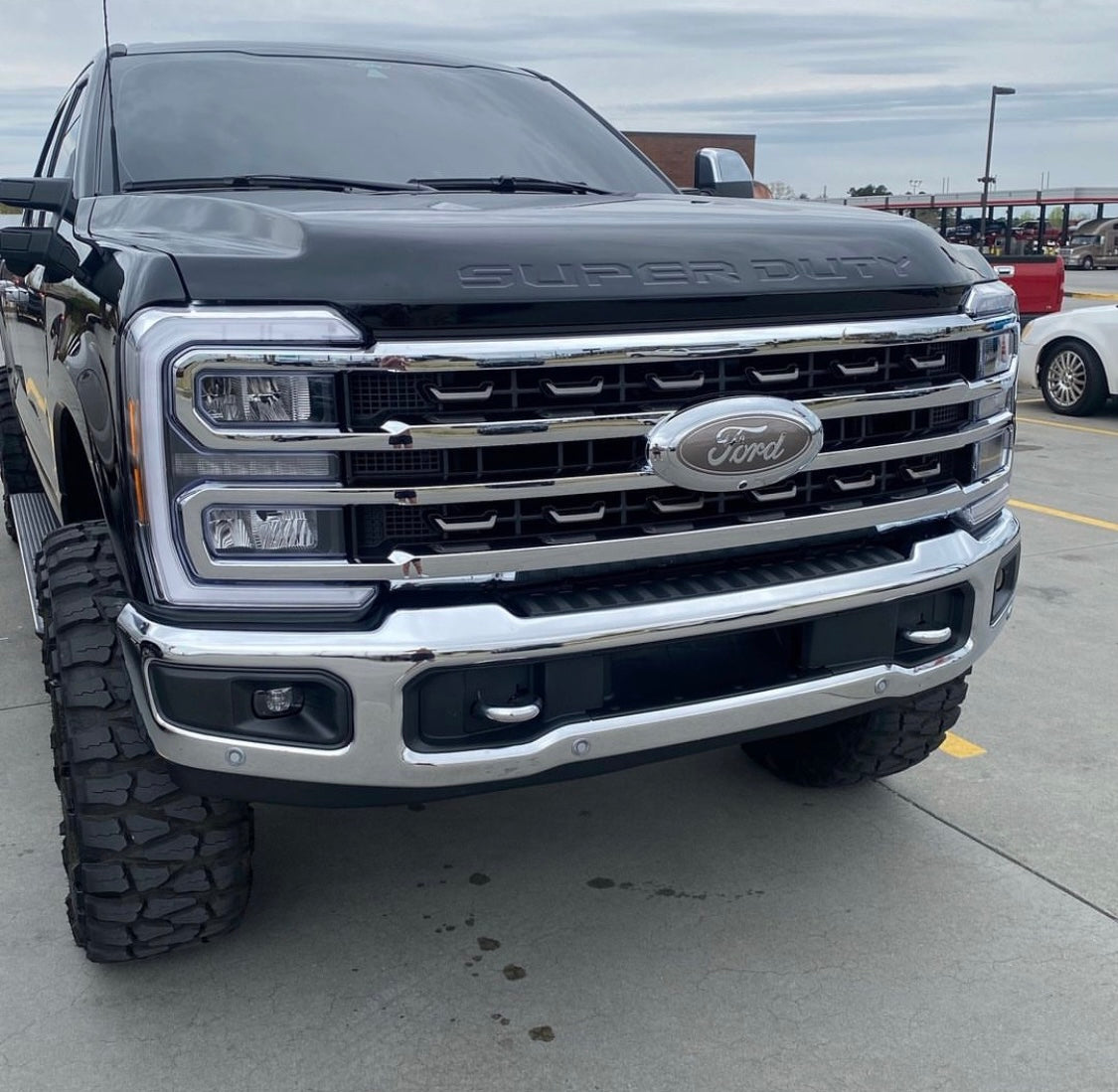 Color matched ford emblem
