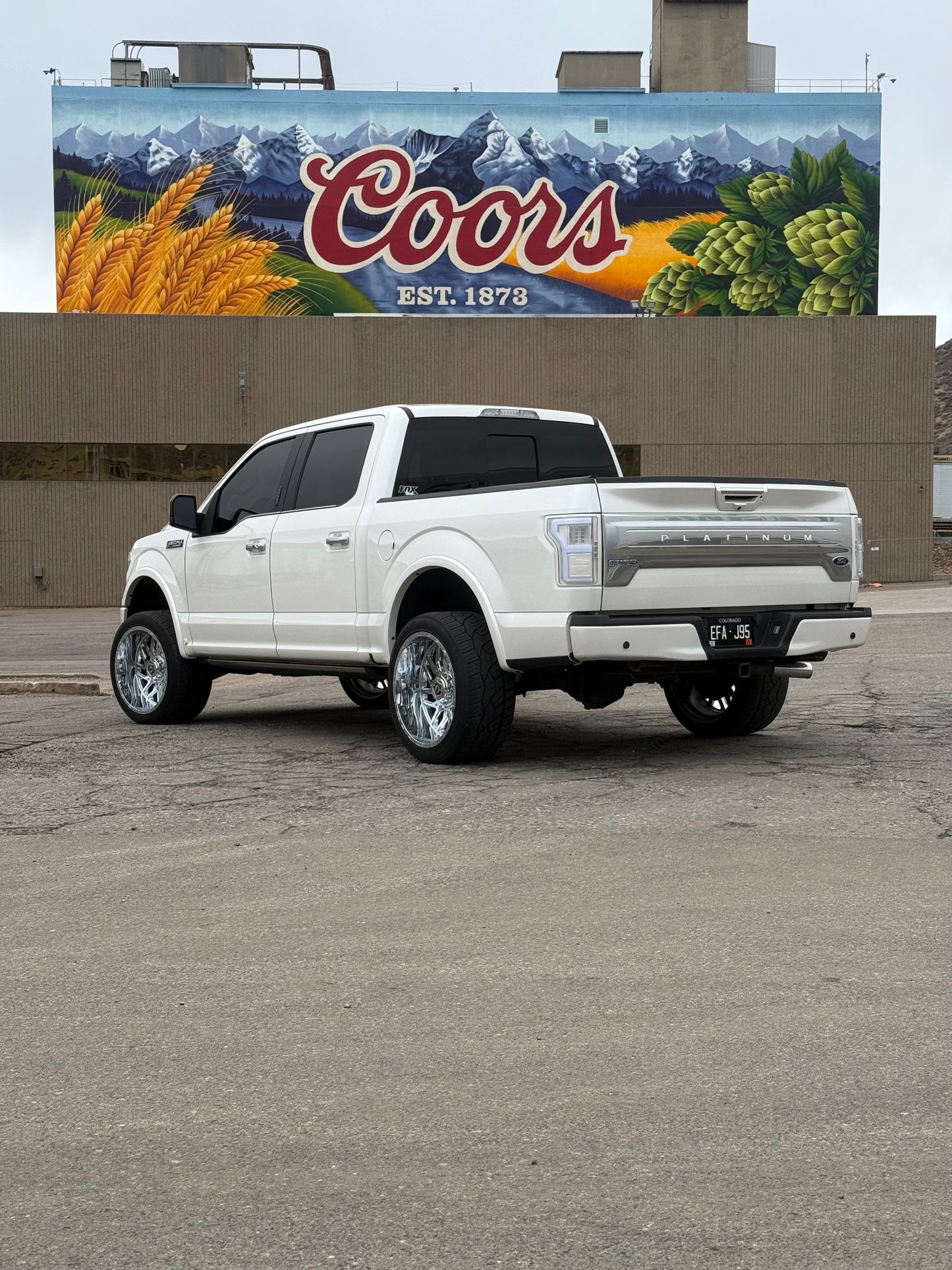 2015-2020 F-150 Colormatched tail lights