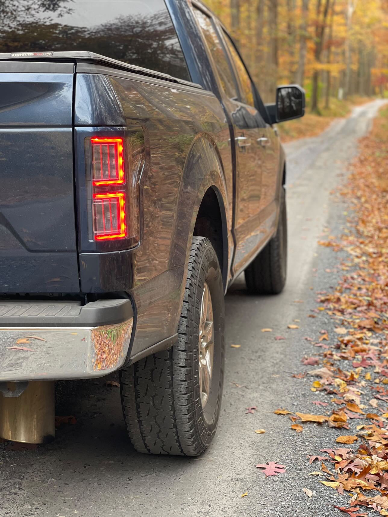 Color match f150 tail lights