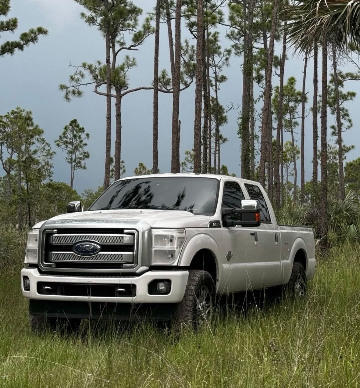 Color matched f250 SuperDuty headlights 