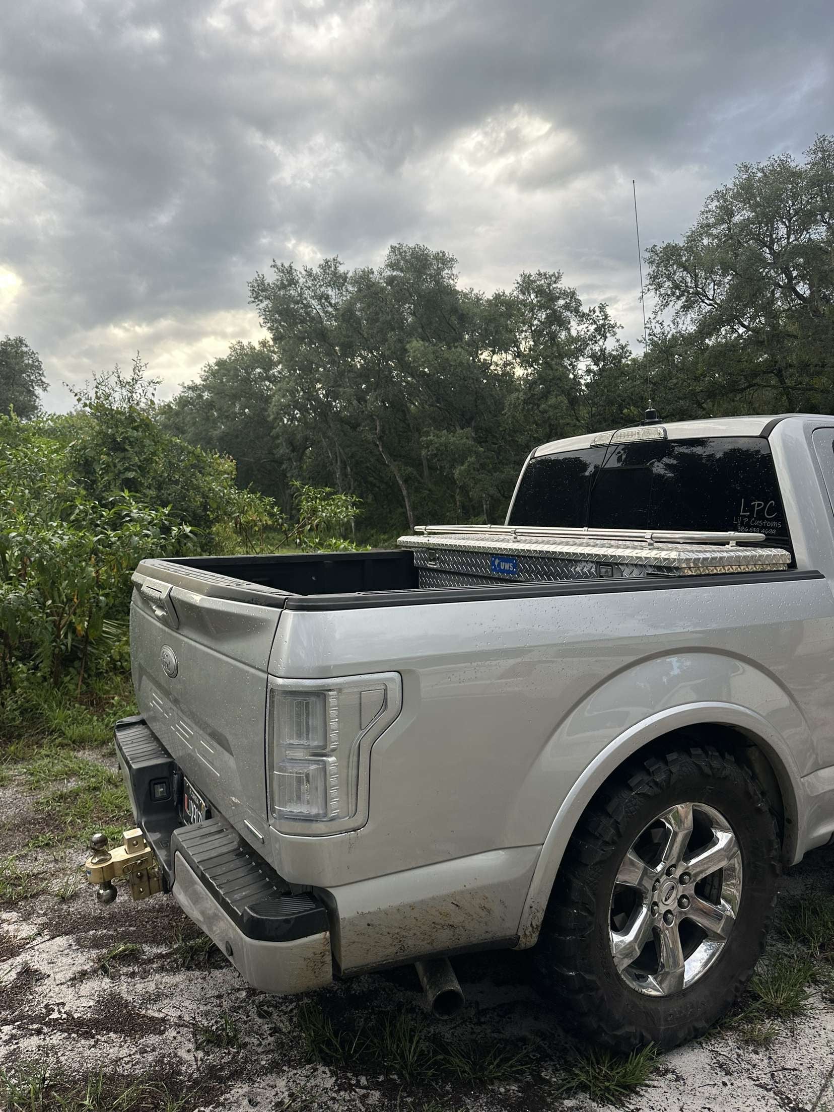 f150 tail lights 