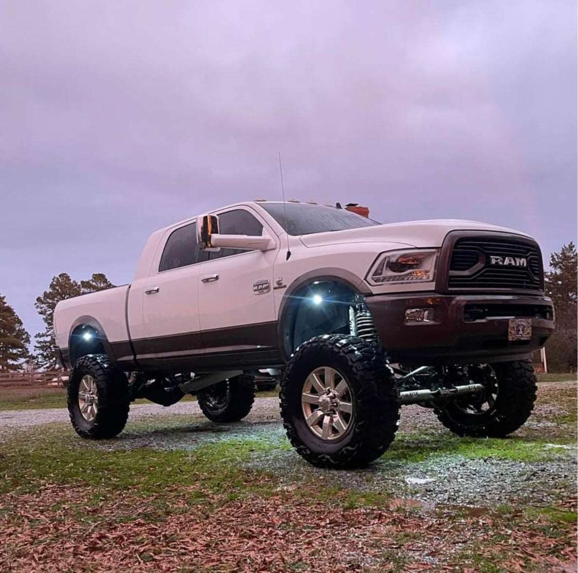 2009-2018 Colormatched Ram Projector Headlights