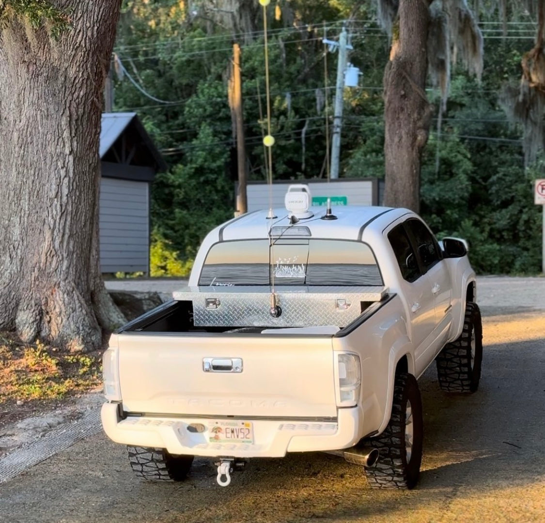 Aftermarket Tacoma tail lights